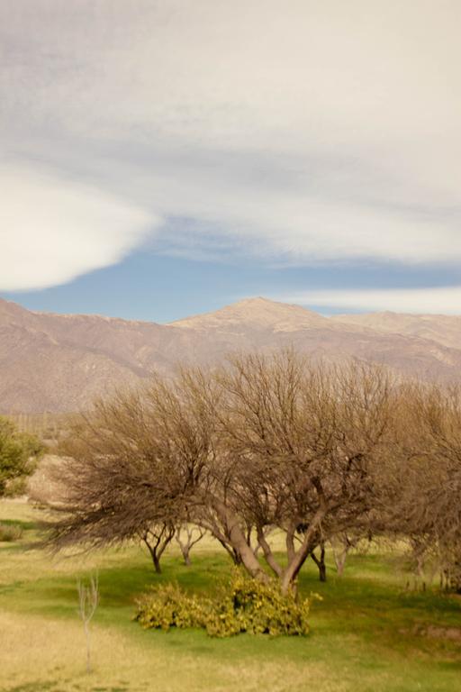 Altalaluna Hotel Boutique & Spa Cafayate Eksteriør billede